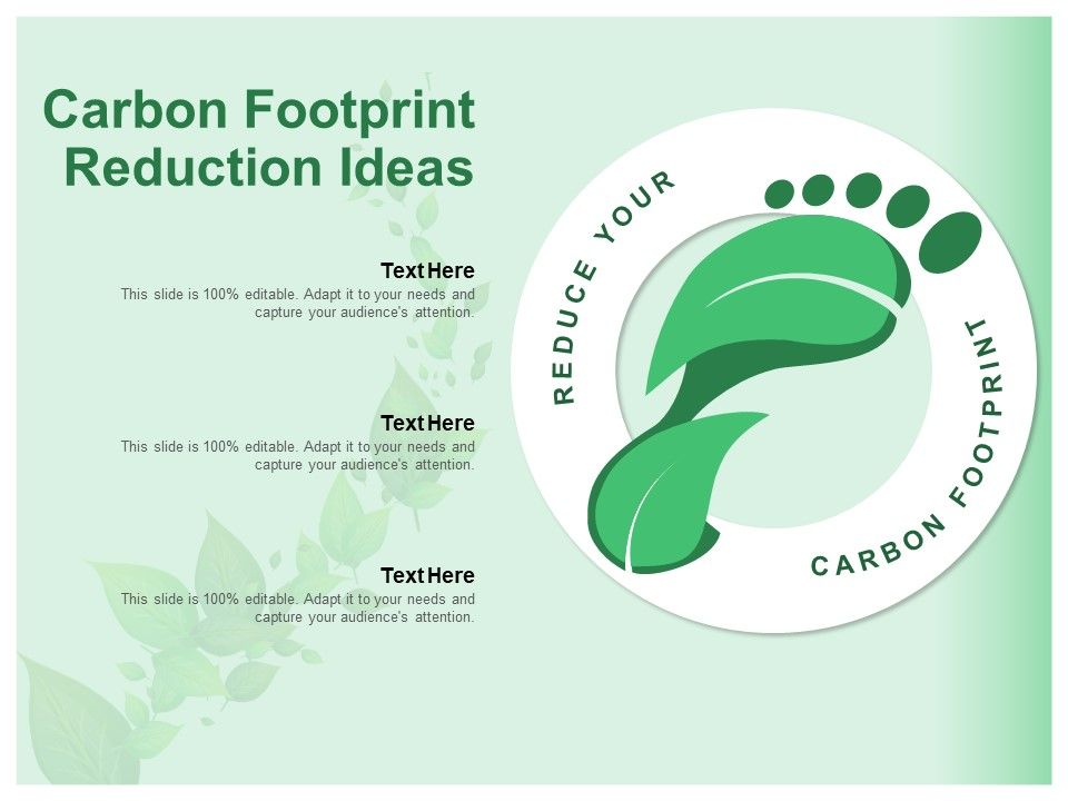 Carbon_Footprint_Reduction_Ideas_Ppt_PowerPoint_Presentation_Slides_Demonstration_Slide_1.jpg