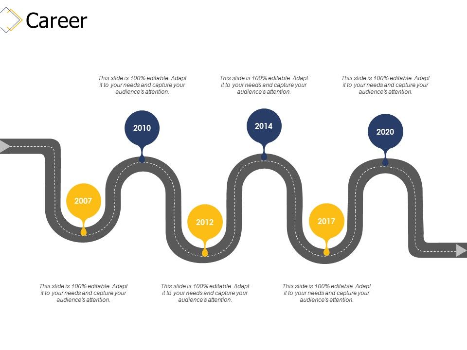 Career_2007_To_2020_Ppt_PowerPoint_Presentation_Gallery_Topics_Slide_1.jpg