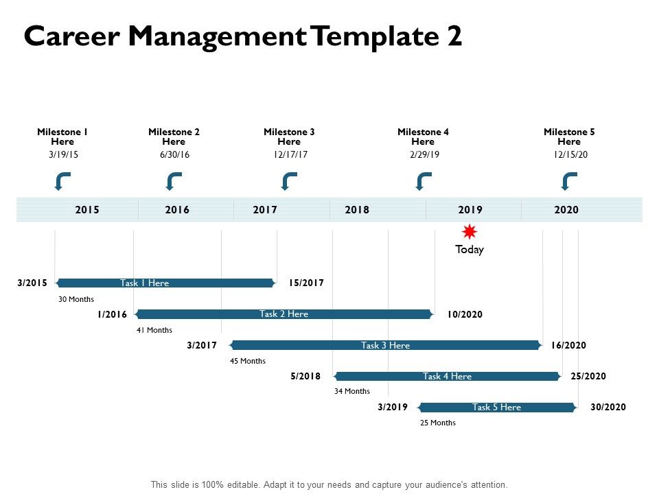 Career_Management_Milestone_Ppt_PowerPoint_Presentation_Summary_Portrait_Slide_1.jpg