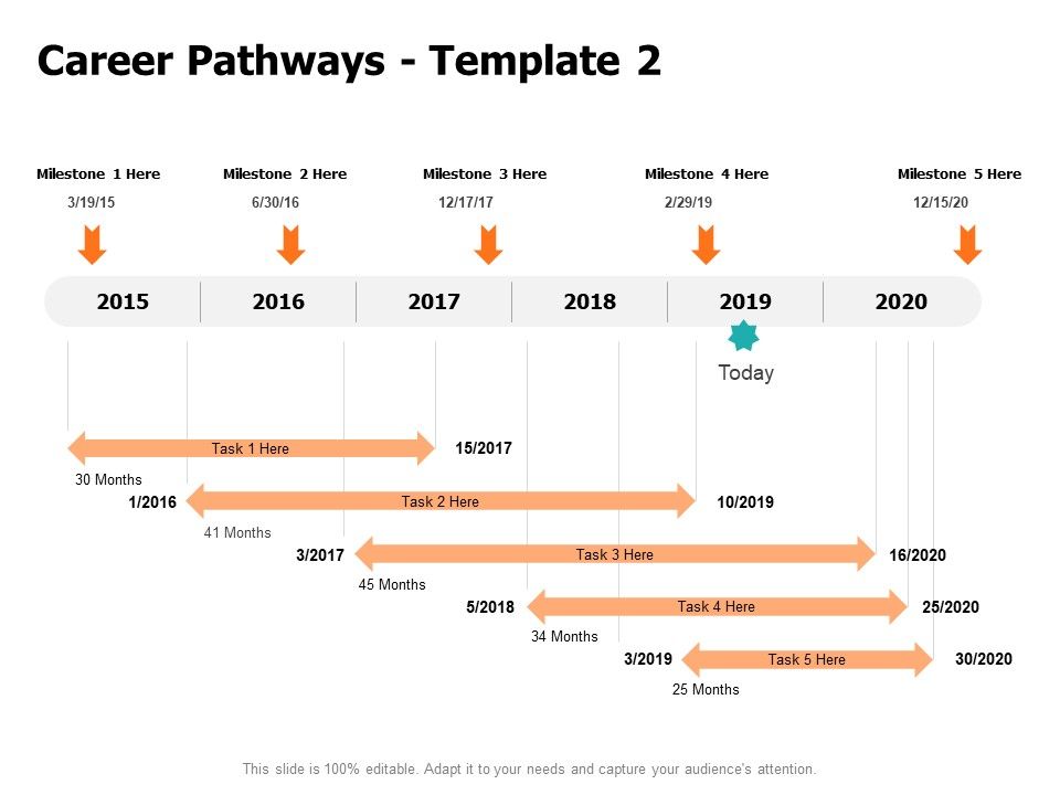Career_Pathways_2015_To_2020_Ppt_PowerPoint_Presentation_Professional_Elements_Slide_1.jpg