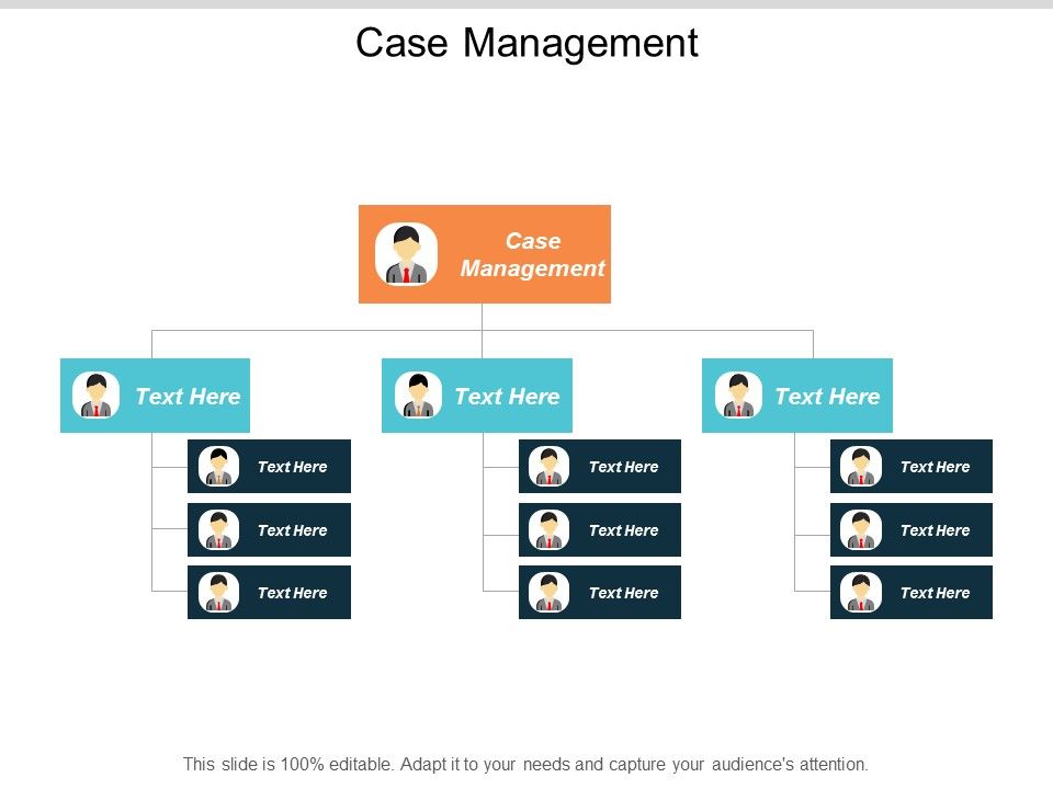 Case_Management_Ppt_PowerPoint_Presentation_Styles_Show_Cpb_Slide_1.jpg