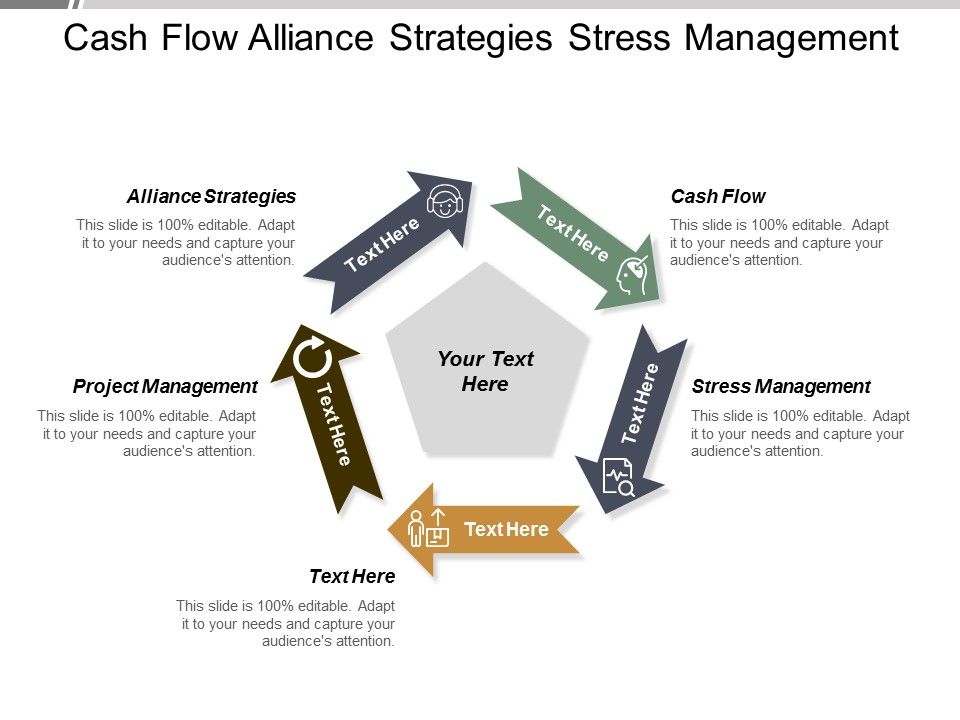 Cash_Flow_Alliance_Strategies_Stress_Management_Project_Management_Ppt_PowerPoint_Presentation_Portfolio_Slide_Slide_1.jpg