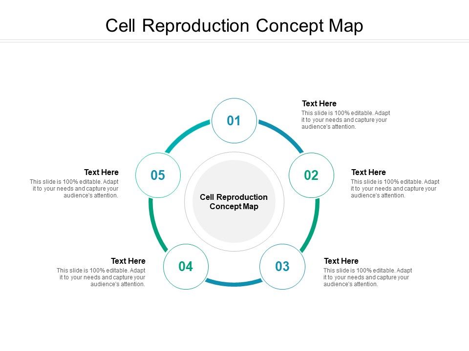 Cell_Reproduction_Concept_Map_Ppt_PowerPoint_Presentation_Styles_Designs_Cpb_Pdf_Slide_1.jpg