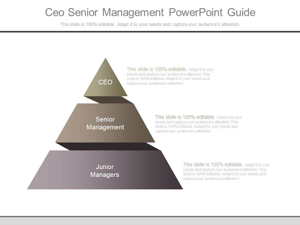 Ceo_Senior_Management_Powerpoint_Guide_1.jpg