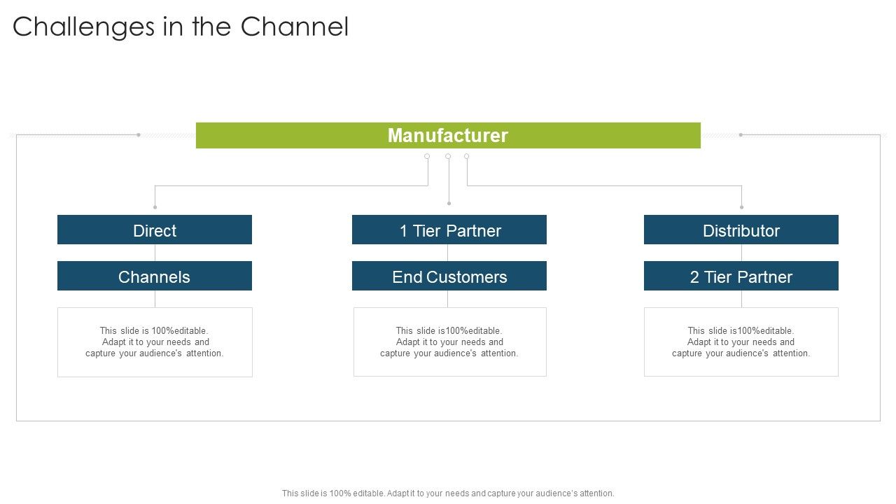 Challenges_In_The_Channel_Organizational_Strategies_And_Promotion_Techniques_Download_PDF_Slide_1.jpg