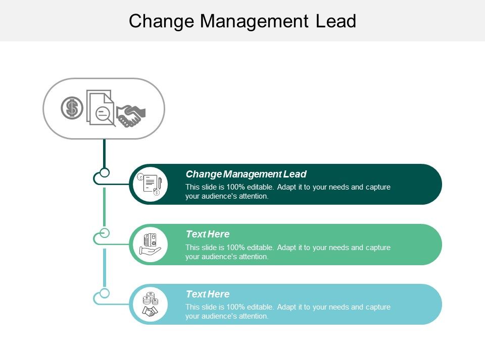 Change_Management_Lead_Ppt_PowerPoint_Presentation_Slides_Design_Ideas_Cpb_Slide_1.jpg