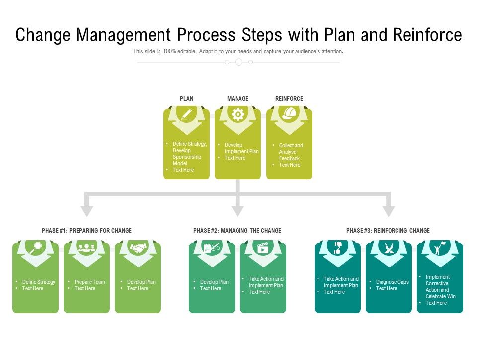 Change_Management_Process_Steps_With_Plan_And_Reinforce_Ppt_PowerPoint_Presentation_Infographics_Sample_PDF_Slide_1.jpg