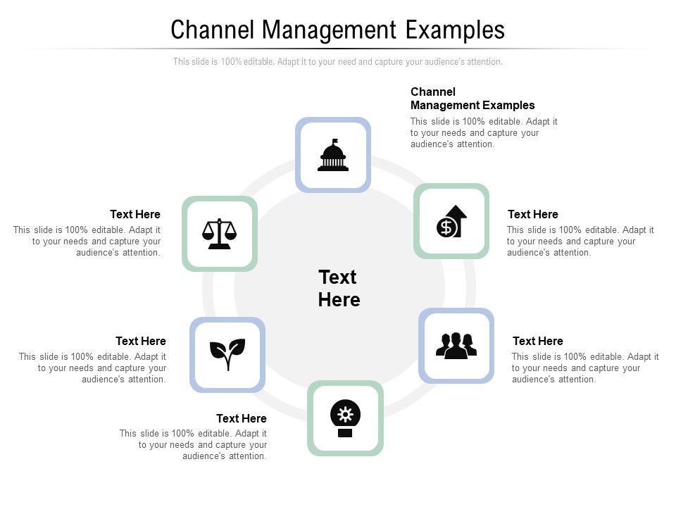 Channel_Management_Examples_Ppt_PowerPoint_Presentation_Gallery_Background_Cpb_Pdf_Slide_1.jpg