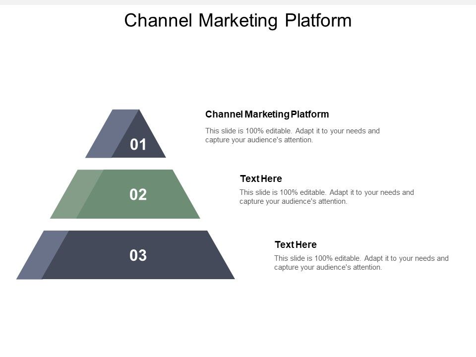 Channel_Marketing_Platform_Ppt_PowerPoint_Presentation_Gallery_Rules_Cpb_Slide_1.jpg