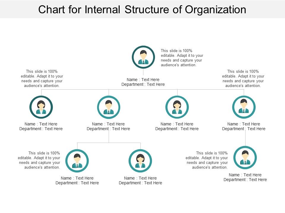 Chart_For_Internal_Structure_Of_Organization_Ppt_PowerPoint_Presentation_Outline_Tips_Slide_1.jpg