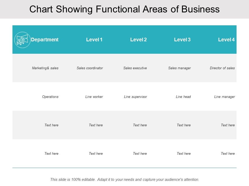 Chart_Showing_Functional_Areas_Of_Business_Ppt_PowerPoint_Presentation_Layouts_Graphics_Slide_1.jpg