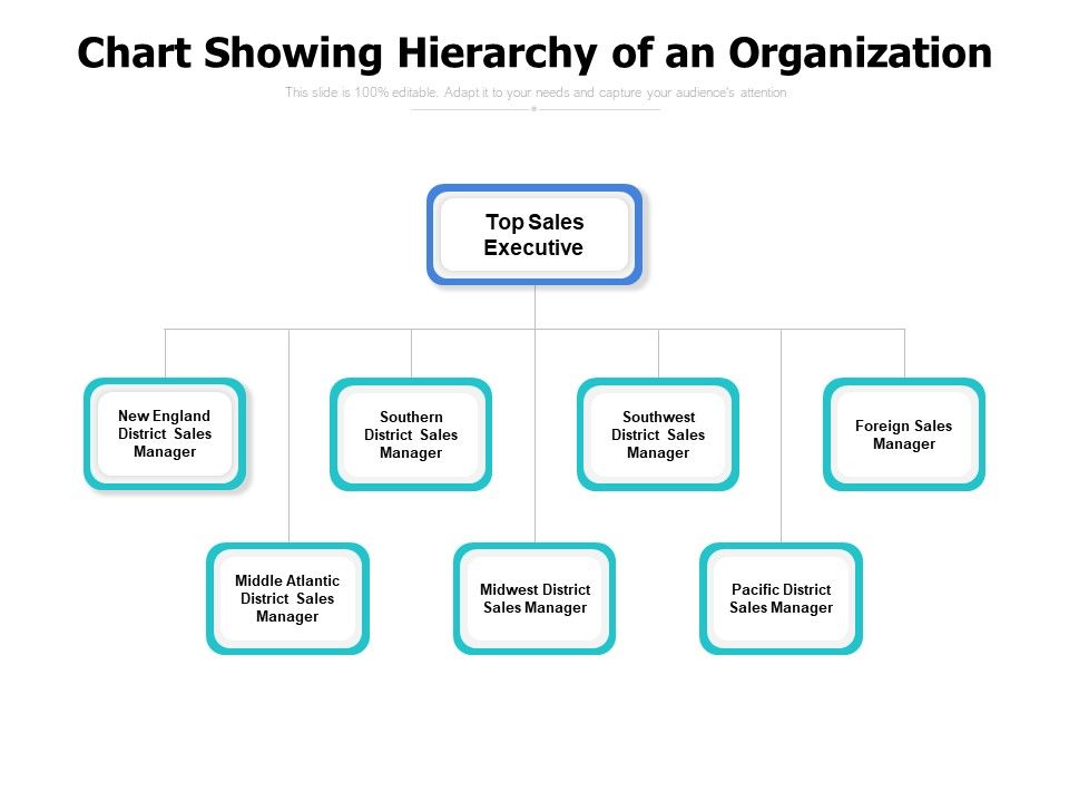 Chart_Showing_Hierarchy_Of_An_Organization_Ppt_PowerPoint_Presentation_Pictures_Influencers_Slide_1.jpg