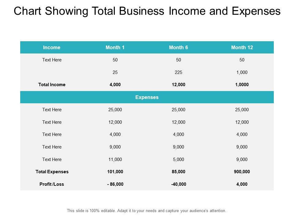 Chart_Showing_Total_Business_Income_And_Expenses_Ppt_PowerPoint_Presentation_Show_Rules_PDF_Slide_1.jpg
