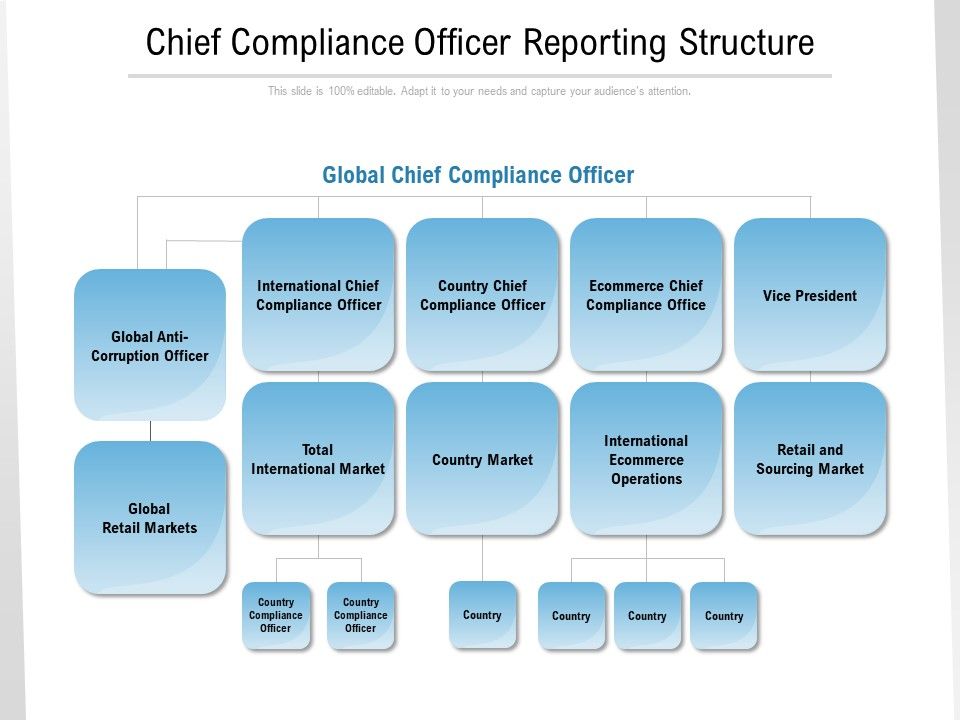 Chief_Compliance_Officer_Reporting_Structure_Ppt_Gallery_Graphics_Example_PDF_Slide_1.jpg