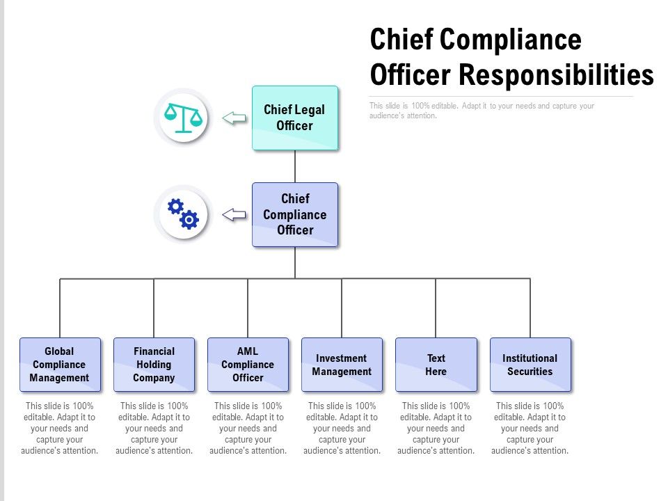 Chief_Compliance_Officer_Responsibilities_Ppt_Summary_Format_Ideas_PDF_Slide_1.jpg