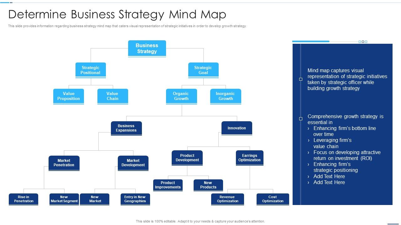 Chief_Strategy_Executive_Playbook_Determine_Business_Strategy_Mind_Map_Demonstration_PDF_Slide_1.jpg