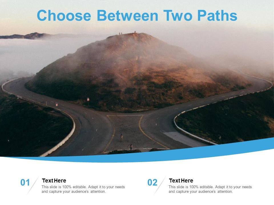 Choose_Between_Two_Paths_Ppt_PowerPoint_Presentation_Outline_Slide_Portrait_Slide_1.jpg