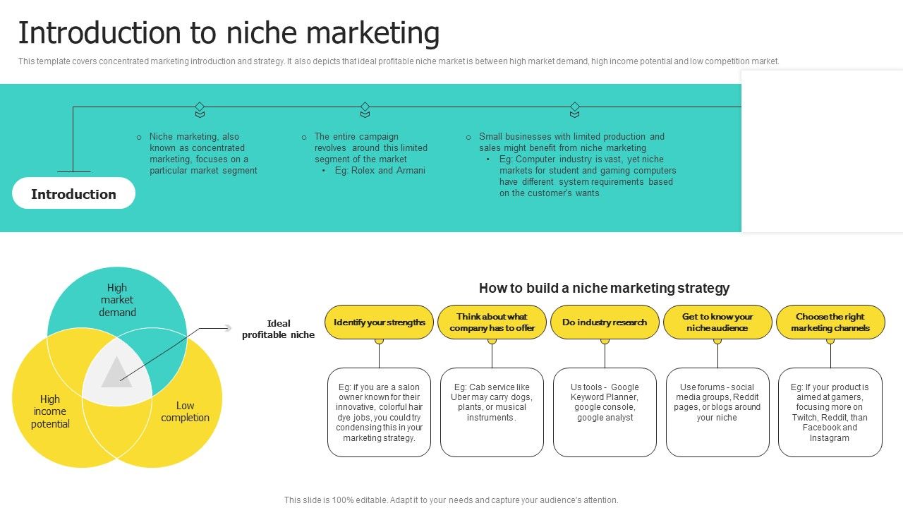 Choosing_Target_Audience_And_Target_Audience_Tactics_Introduction_To_Niche_Marketing_Graphics_PDF_Slide_1.jpg