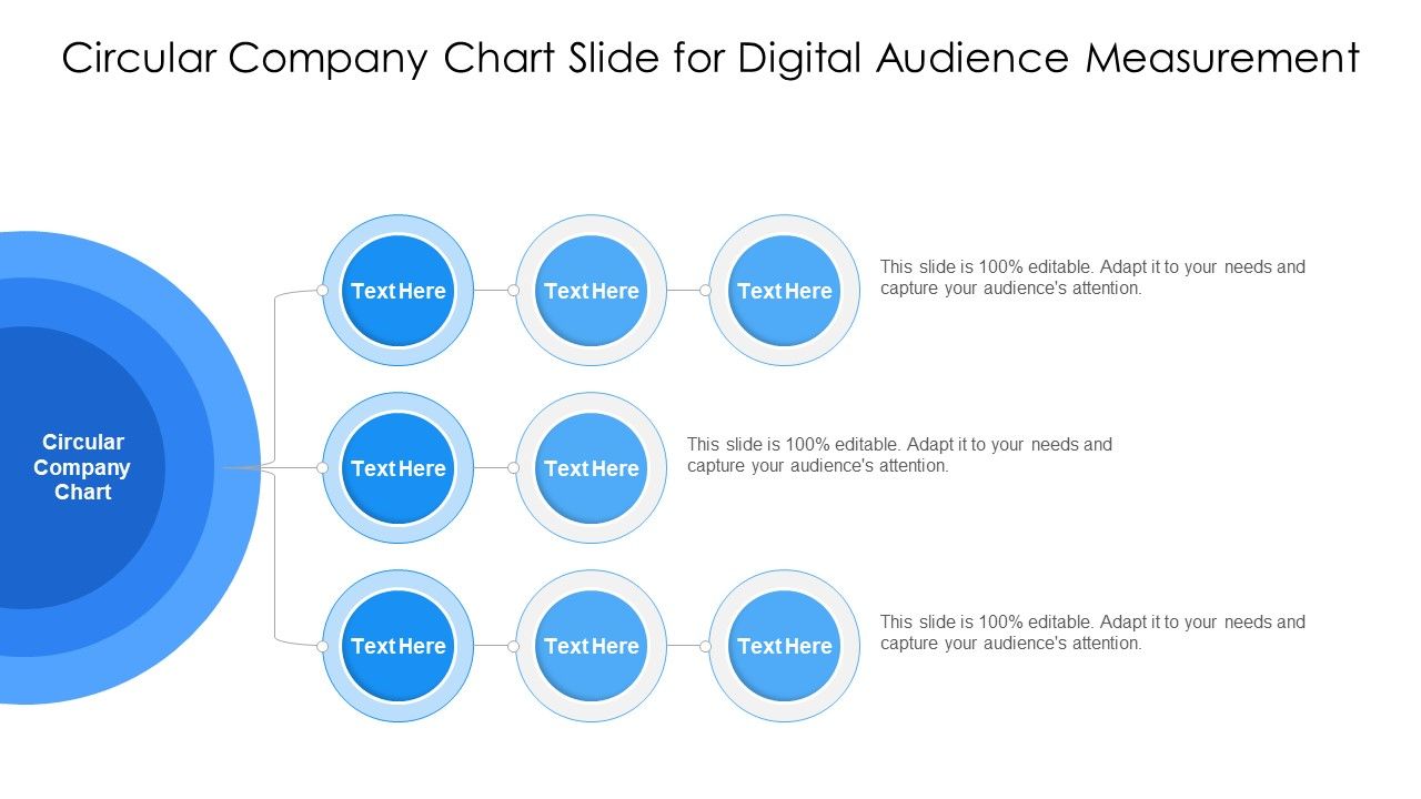 Circular_Company_Chart_Slide_For_Digital_Audience_Measurement_Ppt_PowerPoint_Presentation_Gallery_Infographic_Template_PDF_Slide_1.jpg
