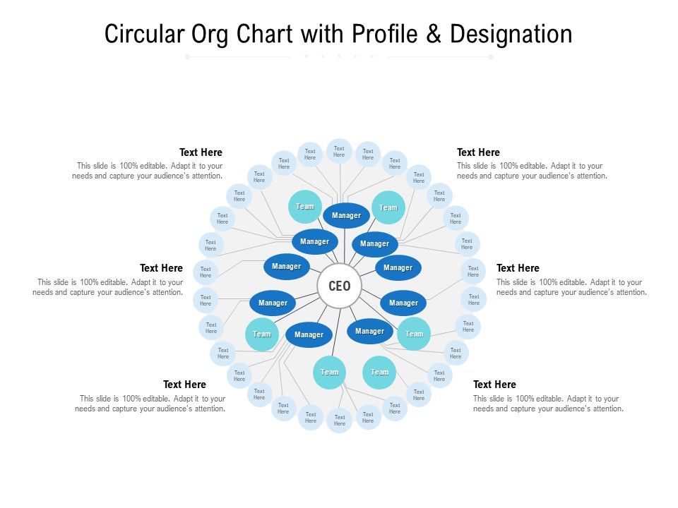 Circular_Org_Chart_With_Profile_And_Designation_Ppt_PowerPoint_Presentation_Slides_Slide_1.jpg