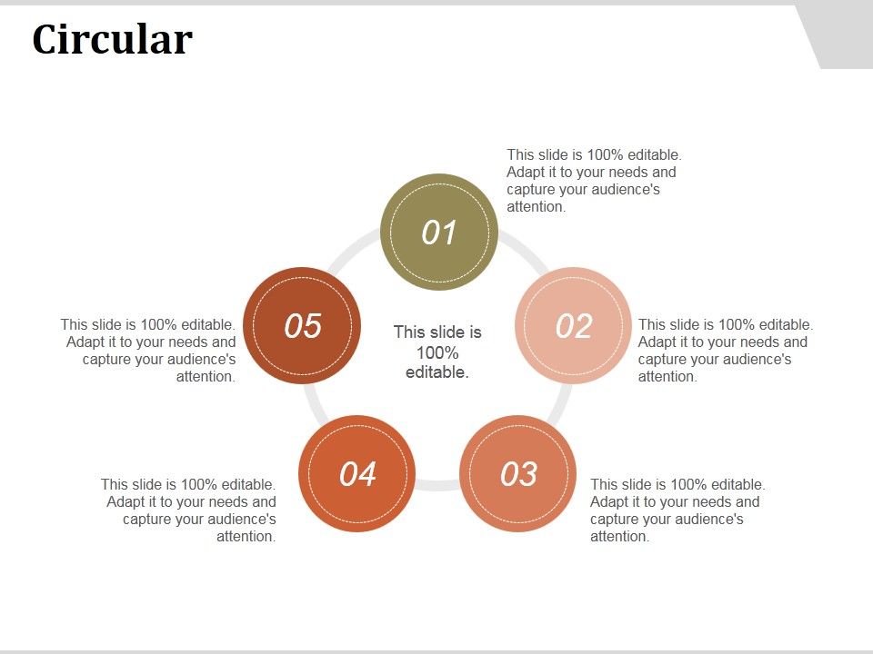 Circular_Ppt_PowerPoint_Presentation_File_Master_Slide_Slide_1.jpg