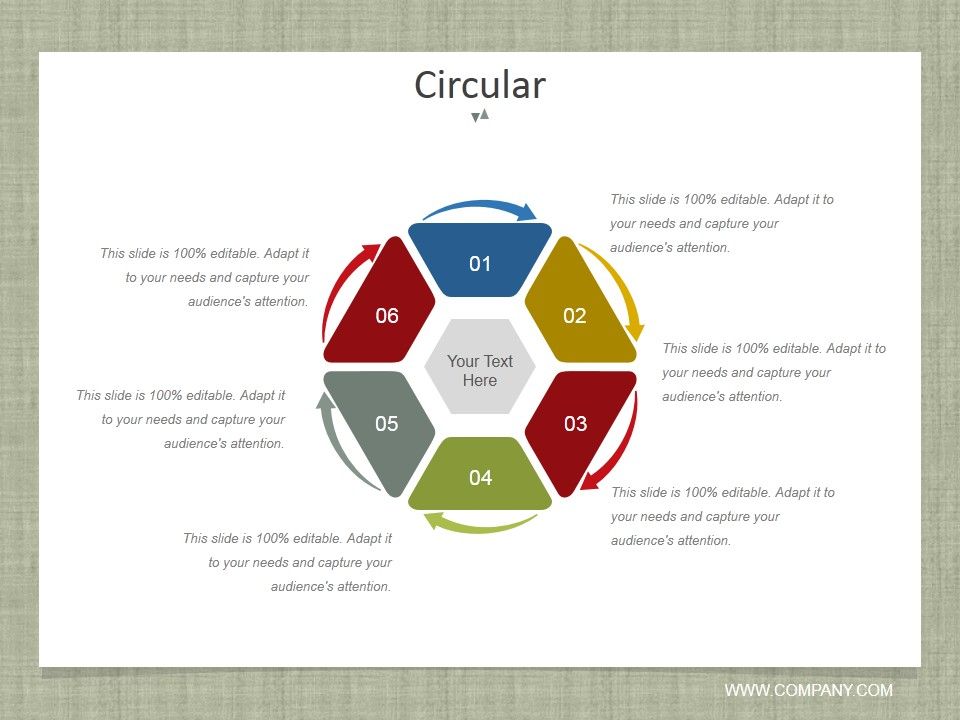 Circular_Ppt_PowerPoint_Presentation_Summary_Aids_Slide_1.jpg