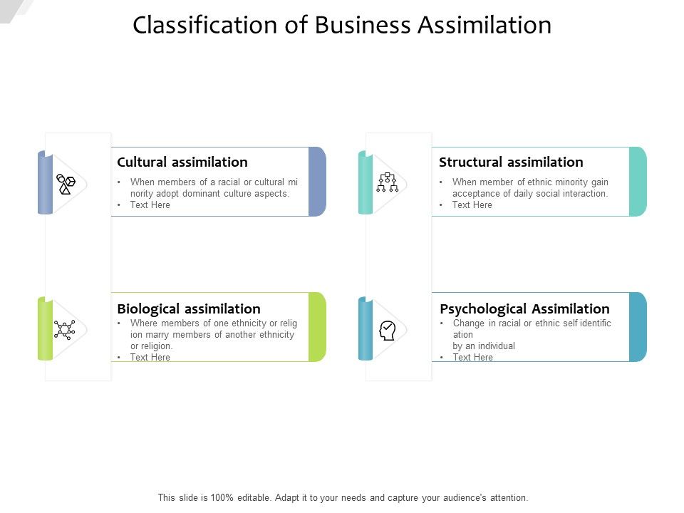 Classification_Of_Business_Assimilation_Ppt_PowerPoint_Presentation_Infographics_Structure_PDF_Slide_1.jpg