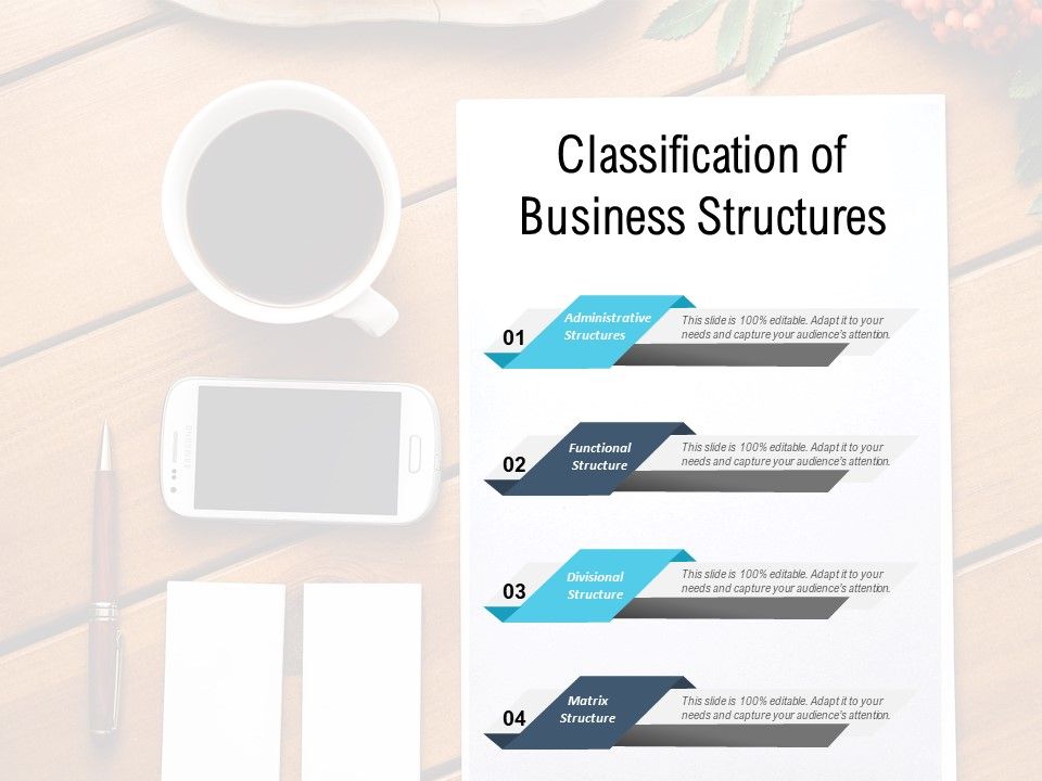 Classification_Of_Business_Structures_Ppt_PowerPoint_Presentation_Outline_Gridlines_Slide_1.jpg