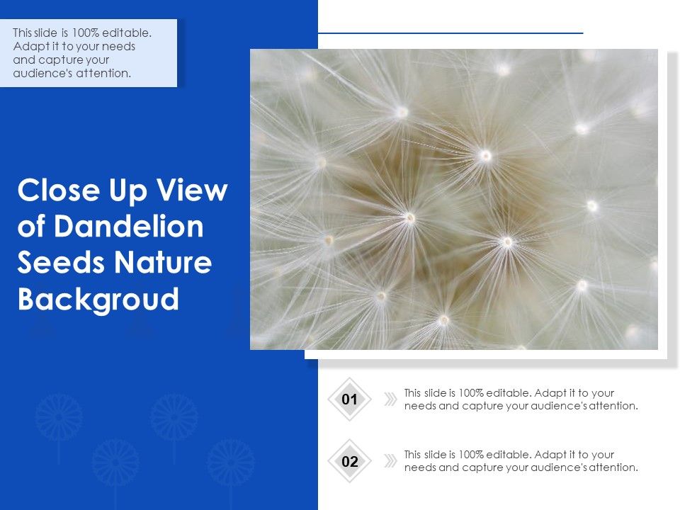 Close_Up_View_Of_Dandelion_Seeds_Nature_Background_Ppt_PowerPoint_Presentation_Model_Slides_PDF_Slide_1.jpg