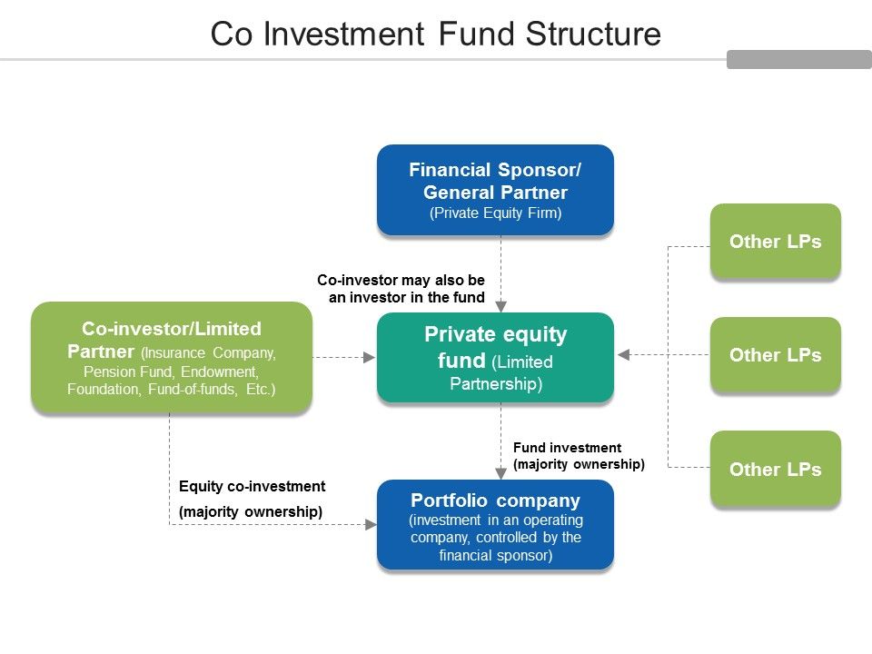 Co_Investment_Fund_Structure_Ppt_PowerPoint_Presentation_Professional_Shapes_Slide_1.jpg