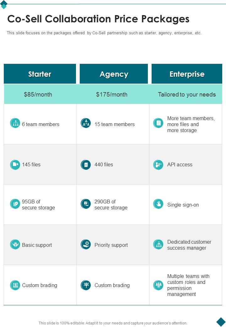 Co_Sell_Collaboration_Price_Packages_One_Pager_Sample_Example_Document_Slide_1.jpg