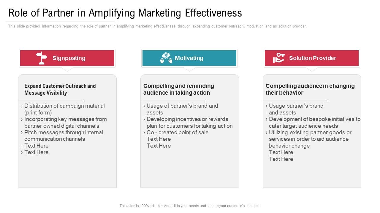Co_Variety_Advertisement_Role_Of_Partner_In_Amplifying_Marketing_Effectiveness_Summary_PDF_Slide_1.jpg
