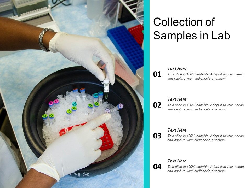 Collection_Of_Samples_In_Lab_Ppt_PowerPoint_Presentation_Slides_Guide_PDF_Slide_1.jpg