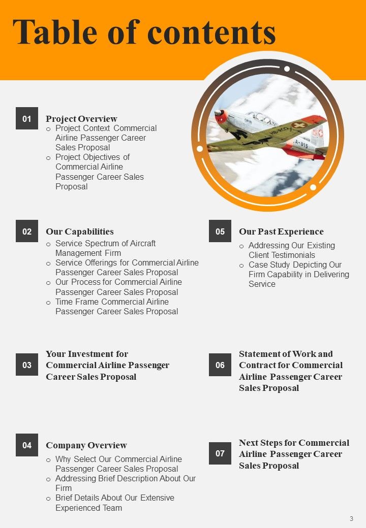 Commercial Airline Passenger Career Sales Proposal Example Document Report Doc Pdf Ppt
