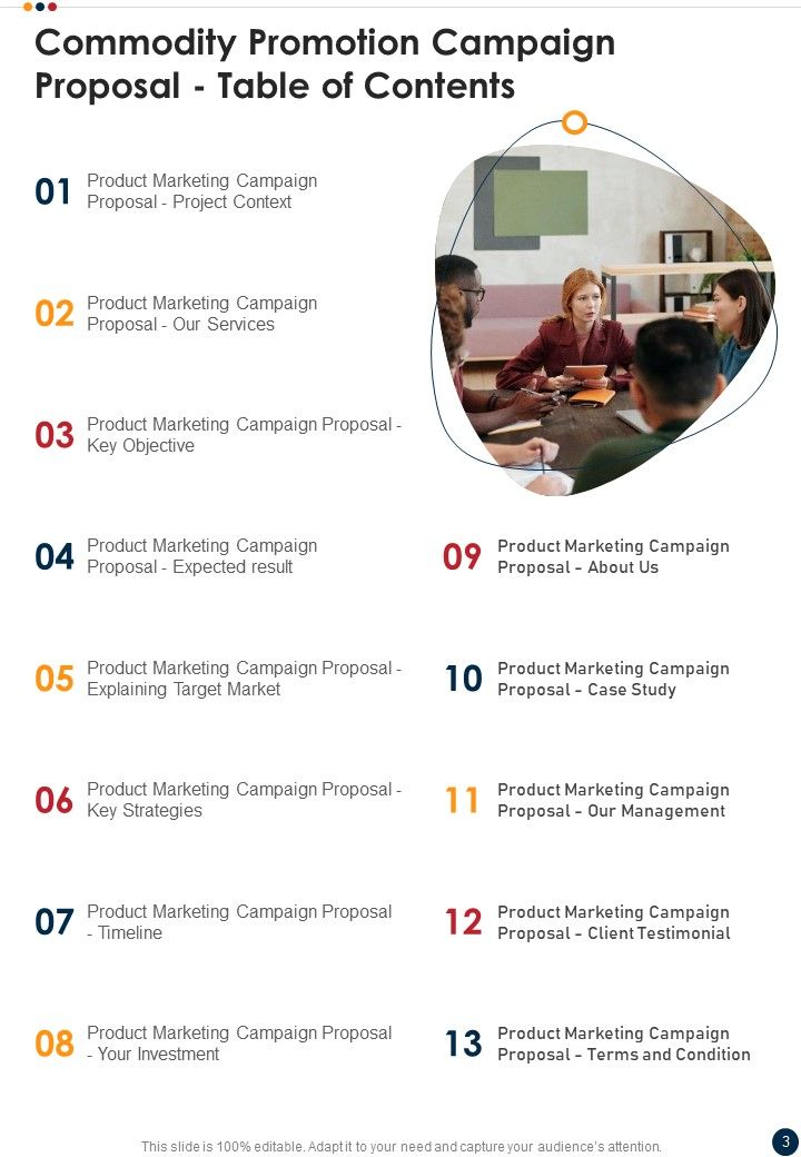 Commodity Promotion Campaign Proposal Example Document Report Doc Pdf Ppt