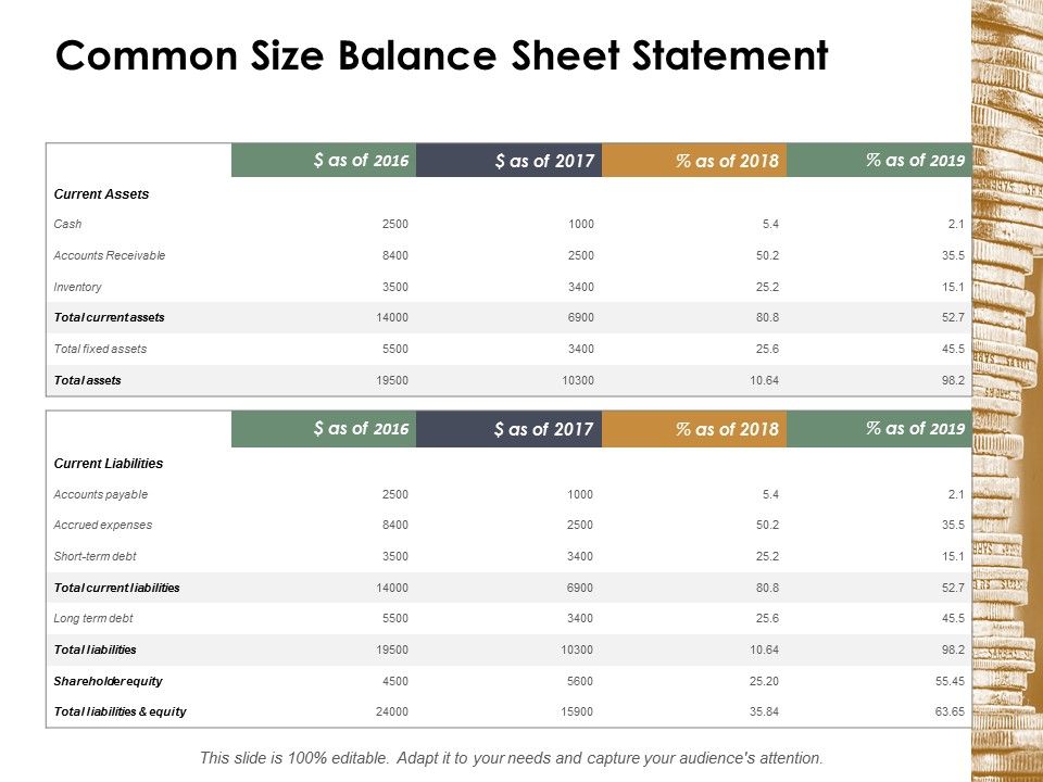 Common_Size_Balance_Sheet_Statement_Ppt_PowerPoint_Presentation_Ideas_Background_Image_Slide_1.jpg