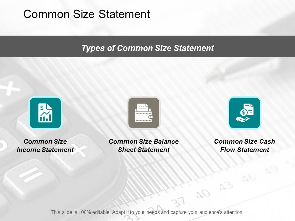 Common_Size_Statement_Ppt_PowerPoint_Presentation_Inspiration_Layout_Slide_1.jpg
