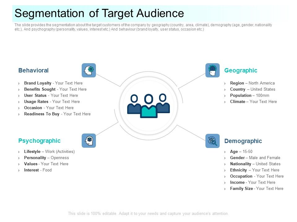 Community_Capitalization_Pitch_Deck_Segmentation_Of_Target_Audience_Slides_PDF_Slide_1.jpg