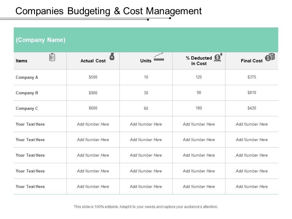 Companies_Budgeting_And_Cost_Management_Ppt_PowerPoint_Presentation_Portfolio_Slide_Slide_1.jpg