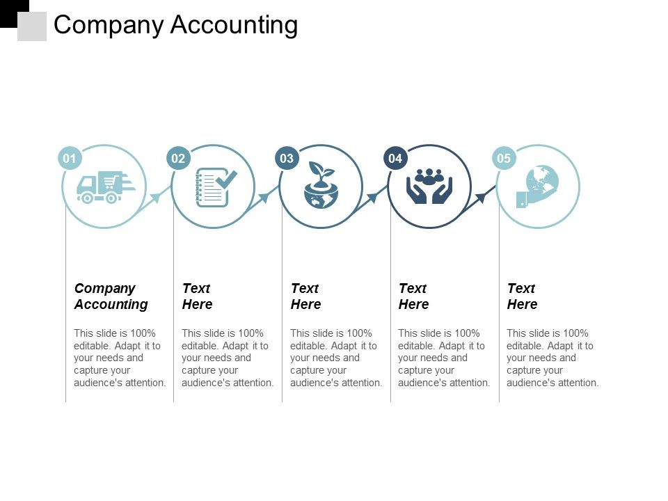 Company_Accounting_Ppt_PowerPoint_Presentation_Infographics_Good_Cpb_Slide_1.jpg