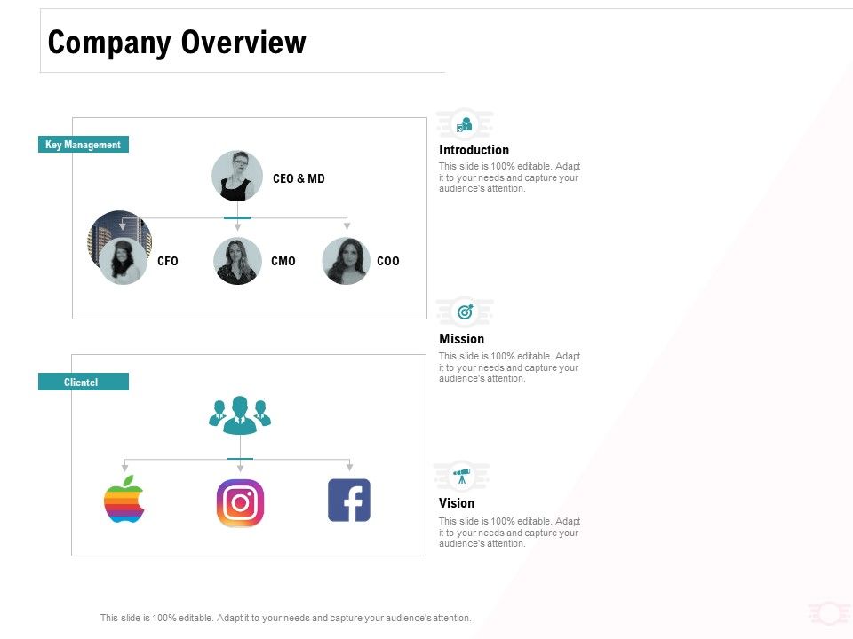 Company_Amalgamation_Company_Overview_Ppt_Styles_Example_File_PDF_Slide_1.jpg