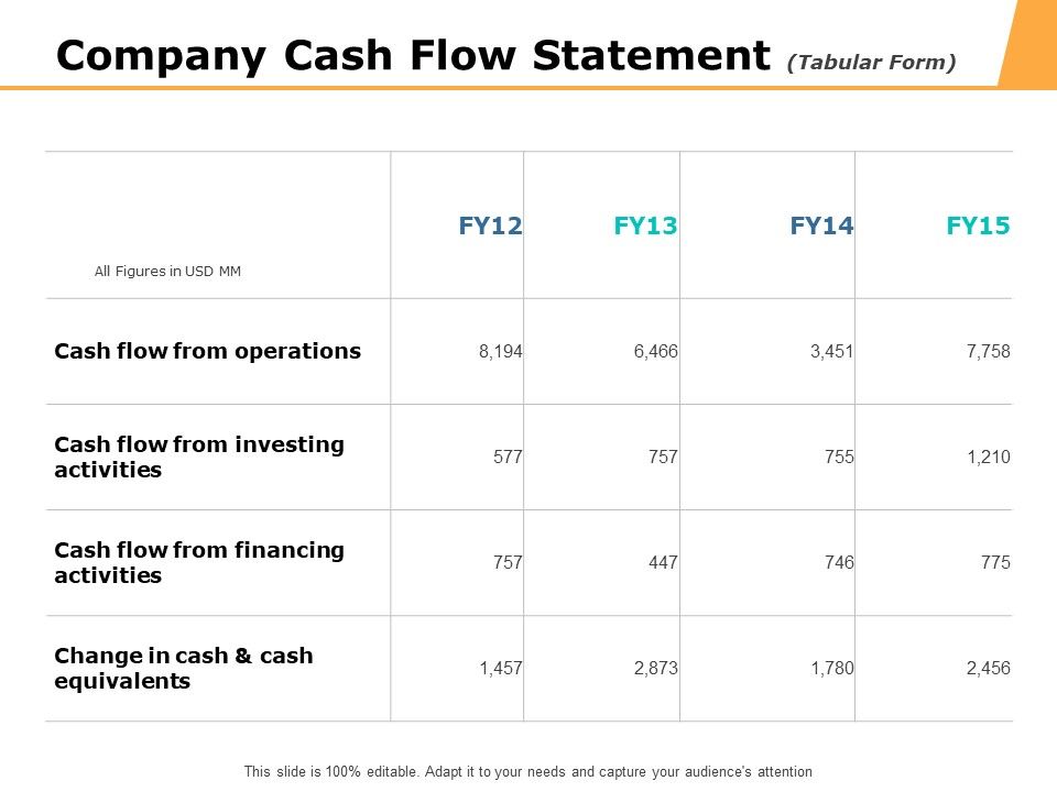 Company_Cash_Flow_Statement_Ppt_PowerPoint_Presentation_Icon_Structure_Slide_1.jpg