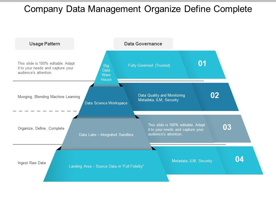 Company_Data_Management_Organize_Define_Complete_Ppt_PowerPoint_Presentation_Summary_Samples_Slide_1.jpg