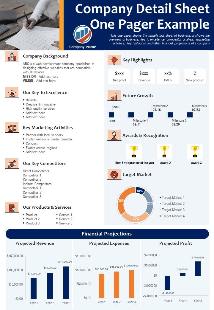 Company Detail Sheet One Pager Example PDF Document PPT Template Slide01