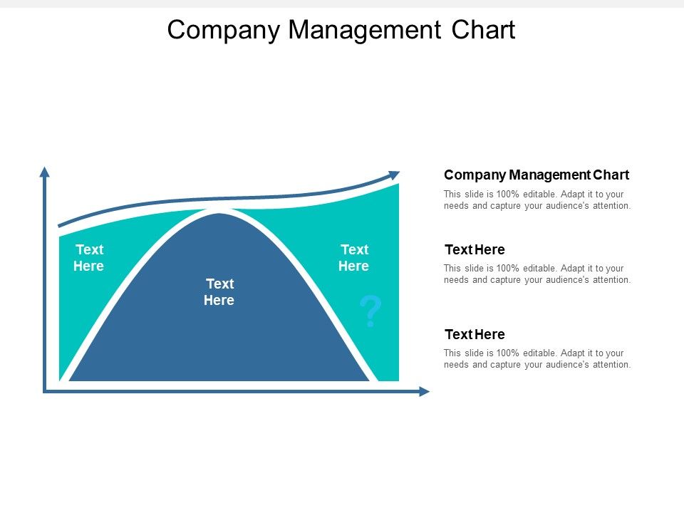Company_Management_Chart_Ppt_PowerPoint_Presentation_Inspiration_Portfolio_Cpb_Slide_1.jpg