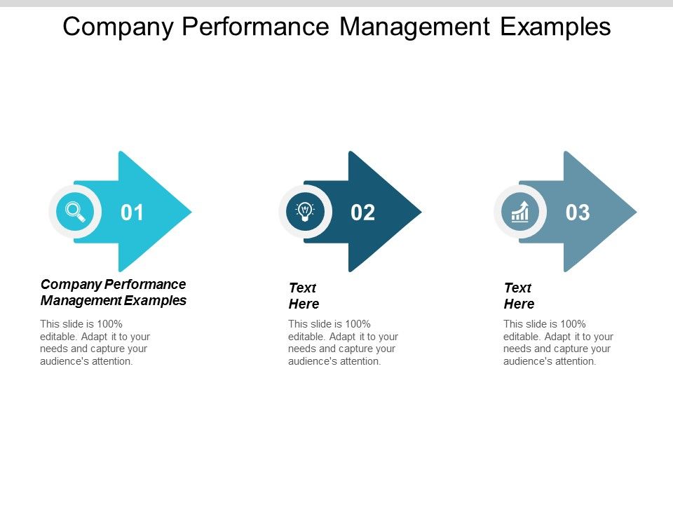 Company_Performance_Management_Examples_Ppt_PowerPoint_Presentation_Summary_Infographics_Cpb_Slide_1.jpg