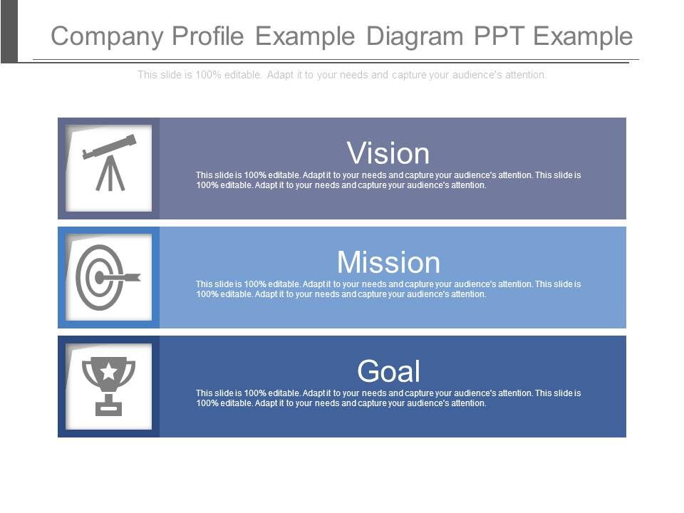 Company_Profile_Example_Diagram_Ppt_Example_1.jpg