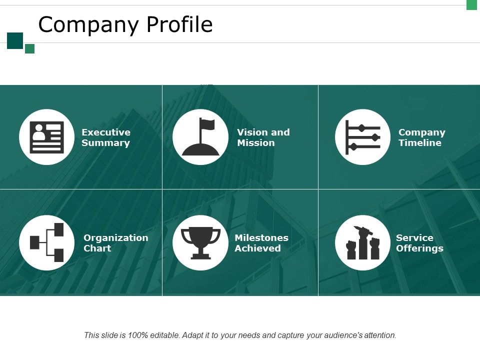 Company_Profile_Ppt_PowerPoint_Presentation_Slides_Example_File_Slide_1.jpg
