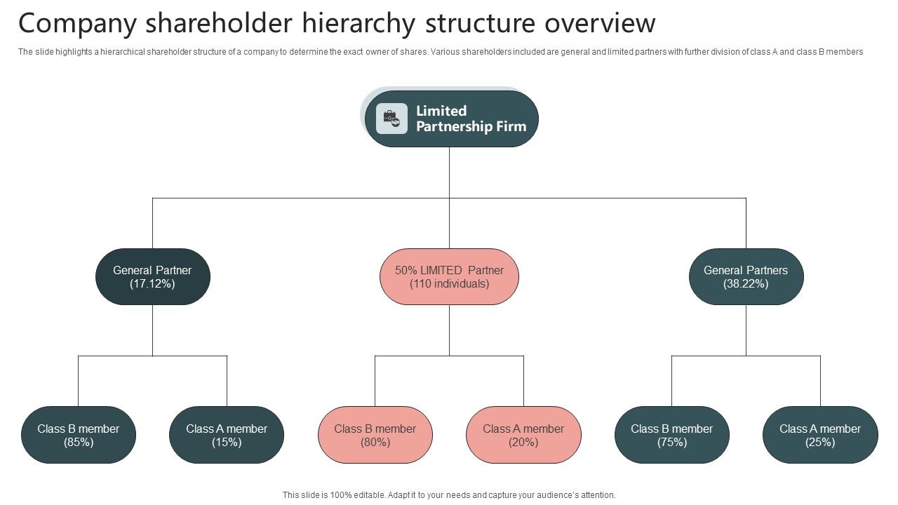 Company_Shareholder_Hierarchy_Structure_Overview_Inspiration_PDF_Slide_1.jpg