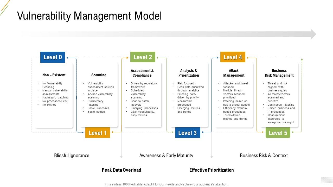 Company_Vulnerability_Administration_Vulnerability_Management_Model_Infographics_PDF_Slide_1.jpg